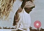 Image des agriculteurs indiens l'Inde, 1965, de la seconde 19 séquences d'archives historiques vidéo 65675028637