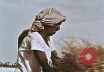 Image des agriculteurs indiens l'Inde, 1965, de la seconde 20 séquences d'archives historiques vidéo 65675028637