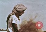 Image des agriculteurs indiens l'Inde, 1965, de la seconde 21 séquences d'archives historiques vidéo 65675028637