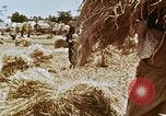 Image des agriculteurs indiens l'Inde, 1965, de la seconde 24 séquences d'archives historiques vidéo 65675028637