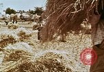 Image des agriculteurs indiens l'Inde, 1965, de la seconde 25 séquences d'archives historiques vidéo 65675028637