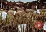 Image des agriculteurs indiens l'Inde, 1965, de la seconde 33 séquences d'archives historiques vidéo 65675028637