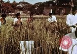 Image des agriculteurs indiens l'Inde, 1965, de la seconde 34 séquences d'archives historiques vidéo 65675028637