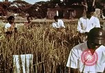 Image des agriculteurs indiens l'Inde, 1965, de la seconde 35 séquences d'archives historiques vidéo 65675028637