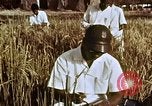 Image des agriculteurs indiens l'Inde, 1965, de la seconde 37 séquences d'archives historiques vidéo 65675028637