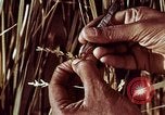 Image des agriculteurs indiens l'Inde, 1965, de la seconde 43 séquences d'archives historiques vidéo 65675028637