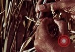 Image des agriculteurs indiens l'Inde, 1965, de la seconde 46 séquences d'archives historiques vidéo 65675028637