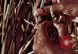Image des agriculteurs indiens l'Inde, 1965, de la seconde 47 séquences d'archives historiques vidéo 65675028637