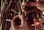 Image des agriculteurs indiens l'Inde, 1965, de la seconde 48 séquences d'archives historiques vidéo 65675028637
