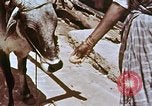 Image des agriculteurs indiens l'Inde, 1965, de la seconde 50 séquences d'archives historiques vidéo 65675028637