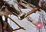 Image des agriculteurs indiens l'Inde, 1965, de la seconde 51 séquences d'archives historiques vidéo 65675028637