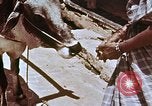 Image des agriculteurs indiens l'Inde, 1965, de la seconde 52 séquences d'archives historiques vidéo 65675028637