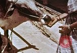 Image des agriculteurs indiens l'Inde, 1965, de la seconde 53 séquences d'archives historiques vidéo 65675028637