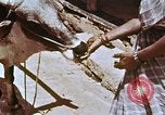 Image des agriculteurs indiens l'Inde, 1965, de la seconde 54 séquences d'archives historiques vidéo 65675028637