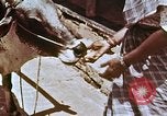 Image des agriculteurs indiens l'Inde, 1965, de la seconde 55 séquences d'archives historiques vidéo 65675028637
