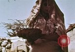 Image des agriculteurs indiens l'Inde, 1965, de la seconde 60 séquences d'archives historiques vidéo 65675028637