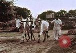 Image civils indiens l'Inde, 1965, de la seconde 58 séquences d'archives historiques vidéo 65675028638