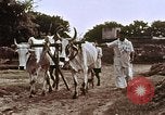 Image civils indiens l'Inde, 1965, de la seconde 59 séquences d'archives historiques vidéo 65675028638