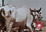 Image civils indiens l'Inde, 1965, de la seconde 39 séquences d'archives historiques vidéo 65675028639