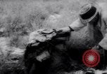 Image of Mike Todd New Mexico United States USA, 1958, second 60 stock footage video 65675028656