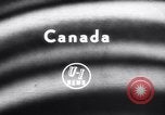 Image of poodles in National Competition Canada, 1958, second 3 stock footage video 65675028658