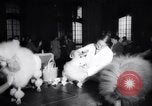 Image of poodles in National Competition Canada, 1958, second 6 stock footage video 65675028658