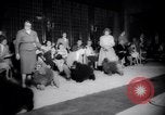 Image of poodles in National Competition Canada, 1958, second 38 stock footage video 65675028658