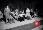 Image of poodles in National Competition Canada, 1958, second 39 stock footage video 65675028658