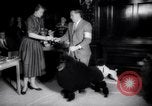 Image of poodles in National Competition Canada, 1958, second 46 stock footage video 65675028658