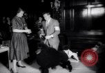 Image of poodles in National Competition Canada, 1958, second 47 stock footage video 65675028658