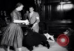 Image of poodles in National Competition Canada, 1958, second 48 stock footage video 65675028658