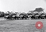 Immagine di Convenzione di elks Los Angeles California USA, 1920, secondo 31 filmato di repertorio 65675028688