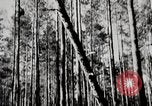 Image construc tentes en bois la Russie, 1944, de la seconde 5 séquences d'archives historiques vidéo 65675028703