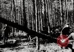 Image construc tentes en bois la Russie, 1944, de la seconde 6 séquences d'archives historiques vidéo 65675028703