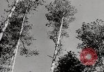 Image construc tentes en bois la Russie, 1944, de la seconde 7 séquences d'archives historiques vidéo 65675028703