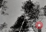Image construc tentes en bois la Russie, 1944, de la seconde 8 séquences d'archives historiques vidéo 65675028703