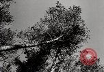 Image construc tentes en bois la Russie, 1944, de la seconde 10 séquences d'archives historiques vidéo 65675028703