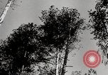 Image construc tentes en bois la Russie, 1944, de la seconde 12 séquences d'archives historiques vidéo 65675028703