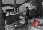 Image of Malamute Alaskan sledge dogs Wonalancet New Hampshire USA, 1934, second 6 stock footage video 65675028712