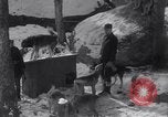 Image of Malamute Alaskan sledge dogs Wonalancet New Hampshire USA, 1934, second 7 stock footage video 65675028712