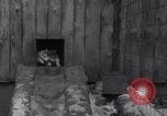 Image of Malamute Alaskan sledge dogs Wonalancet New Hampshire USA, 1934, second 11 stock footage video 65675028712