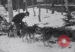 Image of Malamute Alaskan sledge dogs Wonalancet New Hampshire USA, 1934, second 24 stock footage video 65675028712