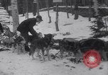 Image of Malamute Alaskan sledge dogs Wonalancet New Hampshire USA, 1934, second 25 stock footage video 65675028712