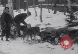 Image of Malamute Alaskan sledge dogs Wonalancet New Hampshire USA, 1934, second 27 stock footage video 65675028712