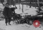 Image of Malamute Alaskan sledge dogs Wonalancet New Hampshire USA, 1934, second 29 stock footage video 65675028712