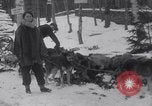 Image of Malamute Alaskan sledge dogs Wonalancet New Hampshire USA, 1934, second 31 stock footage video 65675028712