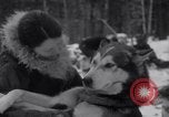 Image of Malamute Alaskan sledge dogs Wonalancet New Hampshire USA, 1934, second 42 stock footage video 65675028712