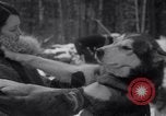 Image of Malamute Alaskan sledge dogs Wonalancet New Hampshire USA, 1934, second 43 stock footage video 65675028712