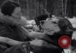 Image of Malamute Alaskan sledge dogs Wonalancet New Hampshire USA, 1934, second 44 stock footage video 65675028712