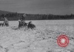 Image of Malamute Alaskan sledge dogs Wonalancet New Hampshire USA, 1934, second 47 stock footage video 65675028712